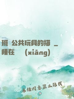 班級公共玩具的描寫