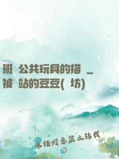 班級公共玩具的描寫