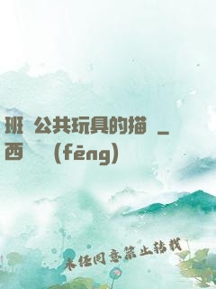 班級公共玩具的描寫