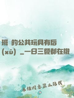 班級的公共玩具有后續(xù)嗎