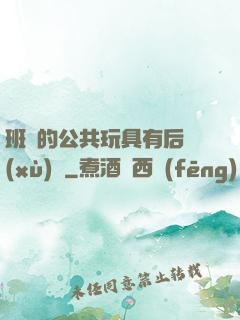 班級的公共玩具有后續(xù)嗎
