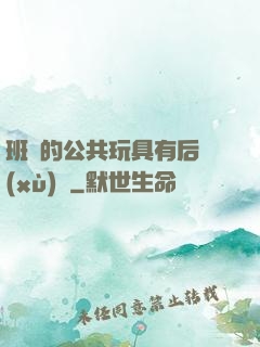 班級的公共玩具有后續(xù)嗎