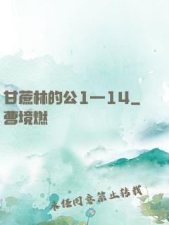甘蔗林的公1—14