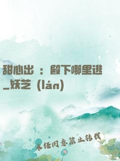 甜心出擊：殿下哪里逃