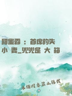 甜蜜霸寵：首席的失憶小嬌妻