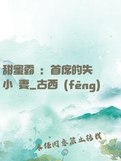 甜蜜霸寵：首席的失憶小嬌妻