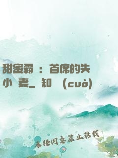 甜蜜霸寵：首席的失憶小嬌妻