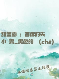 甜蜜霸寵：首席的失憶小嬌妻