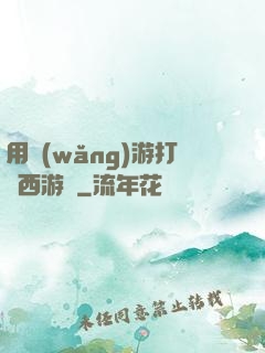用網(wǎng)游打開西游記
