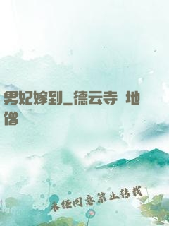 男妃嫁到