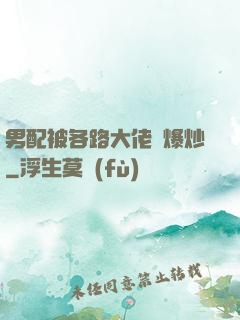 男配被各路大佬們爆炒