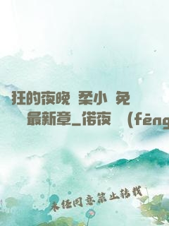 瘋狂的夜晚蘇柔小說免費閱讀最新章