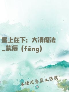 皇上在下：大清魔法師