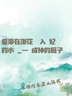 皇帝在御花園進入貴妃的小說