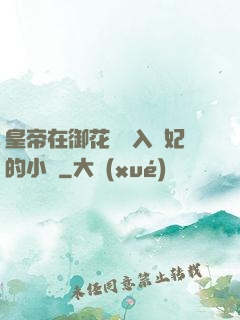 皇帝在御花園進入貴妃的小說