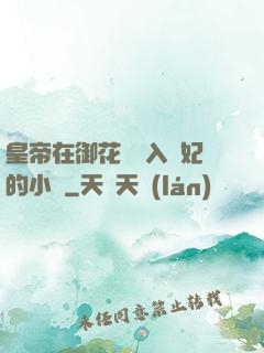 皇帝在御花園進入貴妃的小說