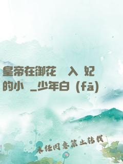 皇帝在御花園進入貴妃的小說