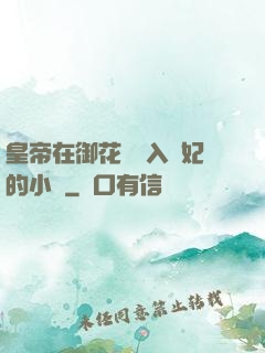 皇帝在御花園進入貴妃的小說