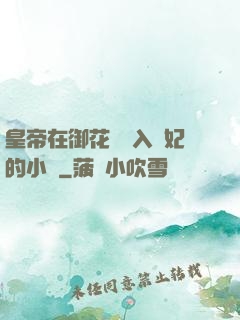 皇帝在御花園進入貴妃的小說