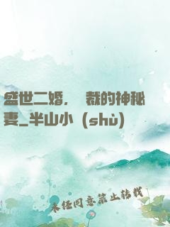 盛世二婚，總裁的神秘妻