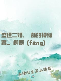 盛世二婚，總裁的神秘妻