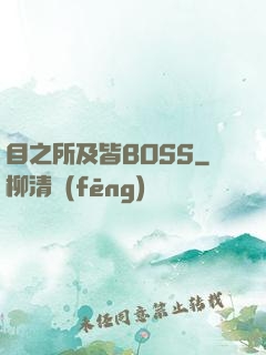 目之所及皆BOSS