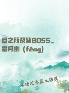 目之所及皆BOSS