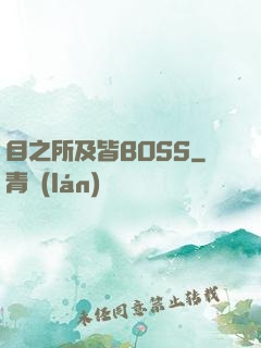 目之所及皆BOSS