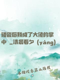 碰瓷后我成了大佬的掌中嬌