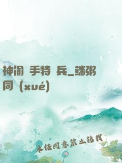 神偷殺手特種兵