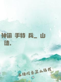 神偷殺手特種兵