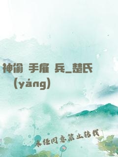 神偷殺手雇傭兵