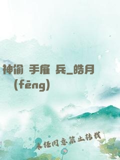 神偷殺手雇傭兵