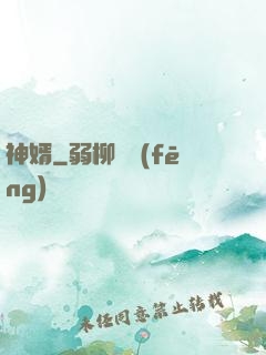 神婿