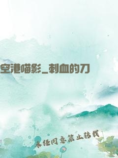 空港喵影