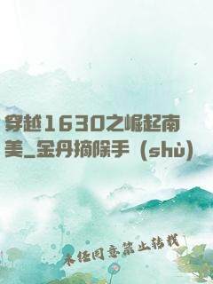 穿越1630之崛起南美