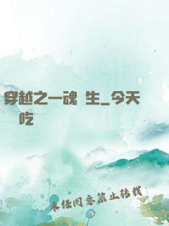 穿越之一魂雙生