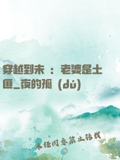 穿越到未來：老婆是土匪