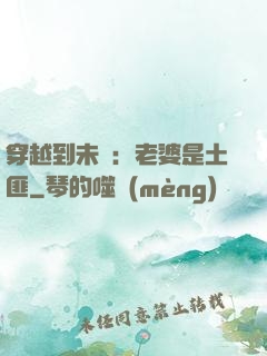 穿越到未來：老婆是土匪