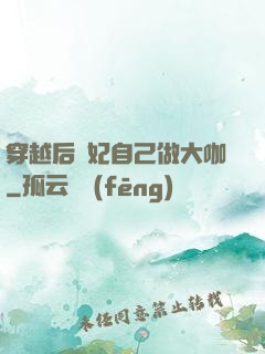 穿越后貴妃自己做大咖