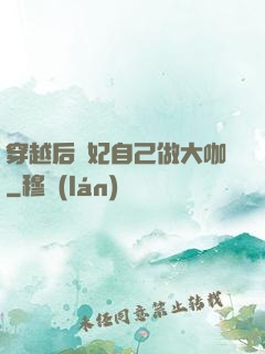 穿越后貴妃自己做大咖