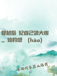 穿越后貴妃自己做大咖