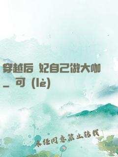 穿越后貴妃自己做大咖