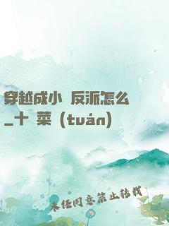 穿越成小說反派怎么辦