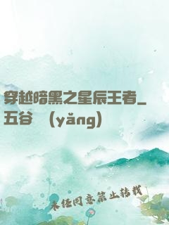穿越暗黑之星辰王者