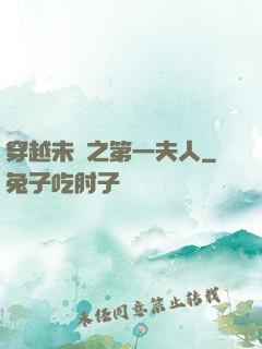 穿越未來之第一夫人