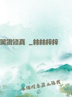 笑傲修真錄