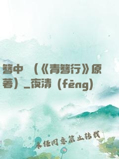 簪中錄（《青簪行》原著）