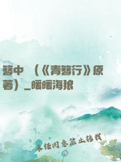 簪中錄（《青簪行》原著）