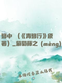 簪中錄（《青簪行》原著）